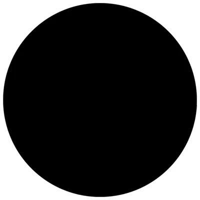 Immagine prodotto di vidaXL Copertura per piscina nera 250 cm PE