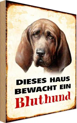 Produktbild von vianmo Holzschild 30x20 cm Hund dieses Haus bewacht ein Bluthund Tier Haustier