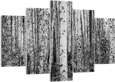 Produktbild von Bild auf Leinwand - Leinwandbild - 5 Teile - Birken Wald Monochrom - 150x100cm - Wand Bild - Wanddeko - Wandbilder - Leinwanddruck - Bilder - Wanddekoration - Leinwand bilder - EA150x100-4643