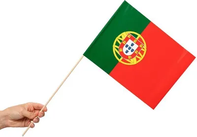 Produktbild von 10 Papier Fahnen Portugal 20 x 30 cm Handfahnen