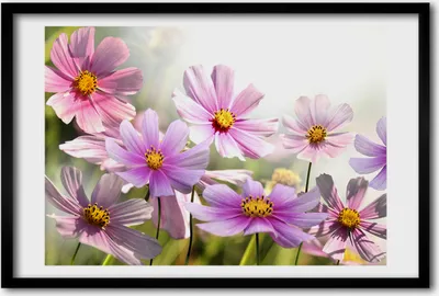 Produktbild von Bild 60x40 MDF-Rahmen, Wandkunst Blumen auf der Wiese