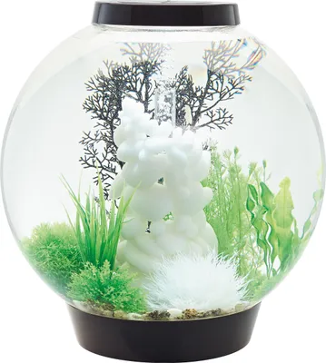 Produktbild von biOrb CLASSIC 60 LED schwarz (72011)
