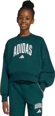 Produktbild von Sweatshirt Adidas JV7377 für Jungen