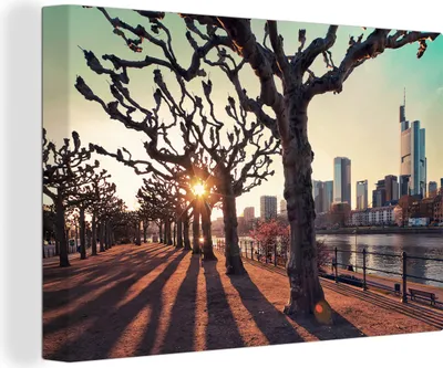 Produktbild von OneMillionCanvasses® - Leinwandbilder - 140x90 cm, Sonnenuntergang zwischen den Bäumen in Frankfurt am Main, Wandbilder Kunstdruck Wanddekoration - Foto auf Leinwand - Gemälde auf