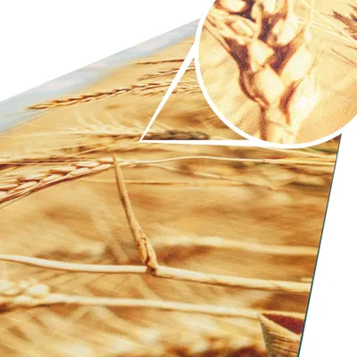 Produktbild von Läufer Küchenläufer Flurläufer Teppichläufer Textil SPRINTY Naturbelassen Korn Weizen Robust Breite 52cm Länge 240cm