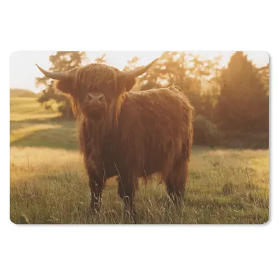Produktbild von MuchoWow® Schreibtischunterlage Schottischer Hochländer - Gras - Sonne 60x40 cm - XXL Mauspad - Großes Mauspad
