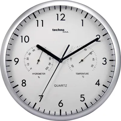 Immagine prodotto di Hodiny TechnoLine WT 650, stříbrné