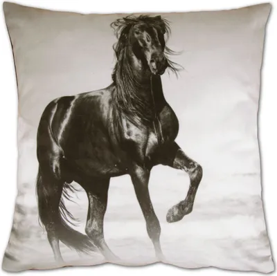 Produktbild von Kissenbezug Fotodruck Motiv in 40x40 cm, Flauschig weiche Kissenhülle mit Füllung, Motiv: Pferd