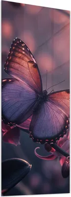 Produktbild von Glasbild 60x150cm in XXL für Wohnzimmer, Schlafzimmer Motiv Schmetterling Blüte