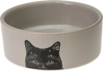 Produktbild von Karlie Katzennapf I - Katzennäpfe - Keramik - Creme - 250 ml - 11,5x4x4 cm