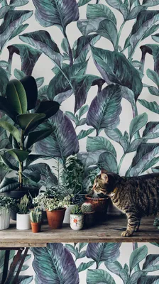 Produktbild von Coloray Fototapete 250x104 cm Latextapete Magicstick - Blätter Palms Jungle.