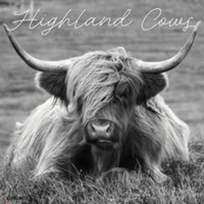 Obrázok produktu pre Nástenný kalendár Highland Cows (B&w) 2026