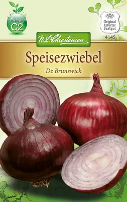 Produktbild von Zwiebel De Brunswick | Zwiebelsamen von N.L. Chrestensen