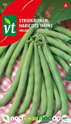 Immagine prodotto di Semi di fagiolo verde Prelude - Circa 50 gr | VT_168