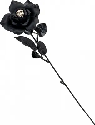 Produktbild von Schwarze Gothic Rose mit Totenkopf in der Blüte