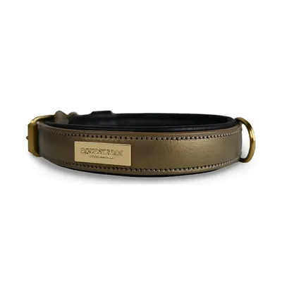 Image de Collier pour chien "Equestrian Stockholm", couleur noire et or, 30 cm