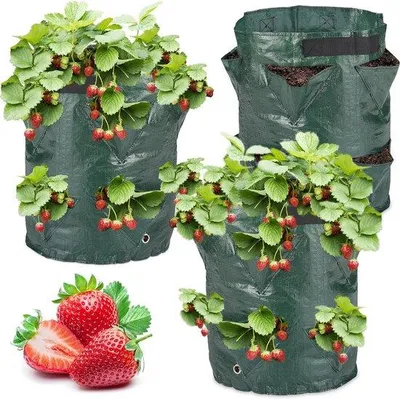 Produktbild von Famanu Pflanzbeutel für Erdbeeren - Praktisch und platzsparend