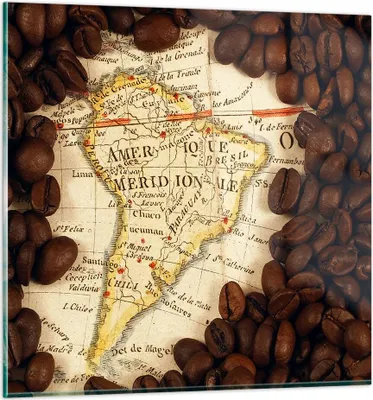 Produktbild von Bilder auf glas - Südamerika Samen Kaffee - 70x70cm - Glasbilder - Wandbilder - Kunstdruck - zum Aufhängen bereit - Wanddekoration aus Glas - Glas Bilder - Wandbild auf Glas - GAC70x70-2198