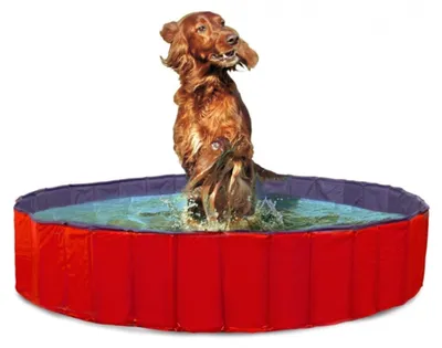 Produktbild von Karlie Doggy Pool - Hundespielzeug - PVC - Rot - 160x160x30 cm