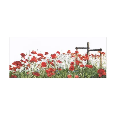 Obrázek produktu pro Vyšívací sada Thea Governor "Poppies Aida", počítaná, 55x22cm