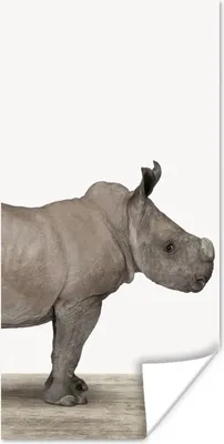 Produktbild von MuchoWow® Poster Rhinozeros - Tiere - Jungen - Mädchen 20x40 cm - Plakat - Foto