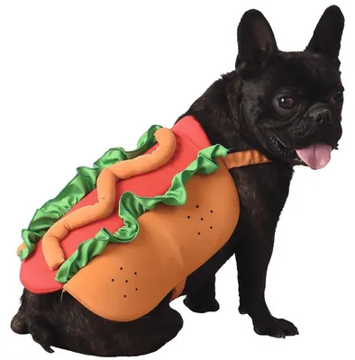 Obrázek produktu pro Psí kostým Hot Dog oranžový/červený/zelený 35 cm