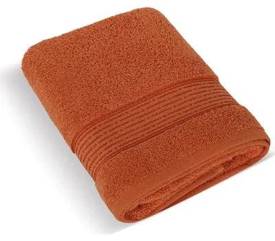 Obrázek produktu pro Froté ručník 50x100cm proužek 450g terra