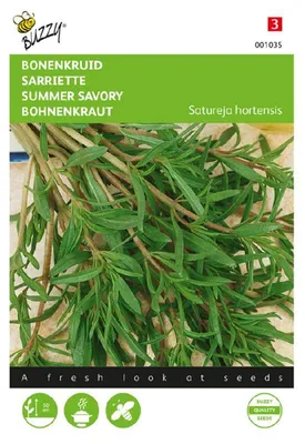 Produktbild von Buzzy Seeds Bohnenkraut einjährig Kräutersamen - 1 Saatgutbeutel