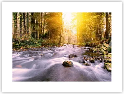 Produktbild von Poster - Poster ohne Rahmen - Herbst Wald Berg Fluss - 40x30 cm - Wand Bild - Wanddeko - Wandbilder - Kunstposter - Wandposter - Bilder - Kunstdruck - Wanddekoration - Wandbild - P2XAA40x30-0504
