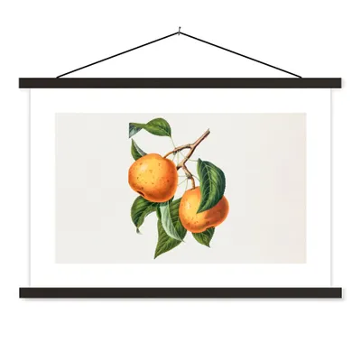 Produktbild von MuchoWow® Textilposter Orange - Blatt - Pflanze 150x100 cm mit schwarzem Rahmen - Schlafzimmer