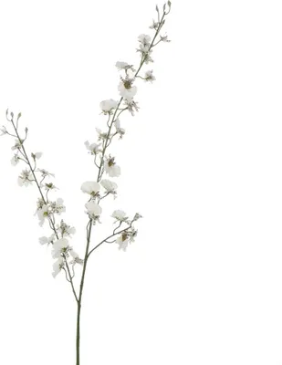 Produktbild von Mica künstliche Oncidium creme 78 cm