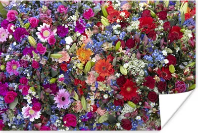Produktbild von MuchoWow® Poster Ein florales Design mit leuchtenden Farben 60x40 cm - Schlafzimmerdekoration