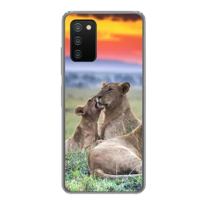 Produktbild von MuchoWow® Handyhülle Schutzhülle Hülle für Samsung Galaxy A03s Löwen bei Sonnenaufgang Silikon Softcase Handy Hülle - Schutz
