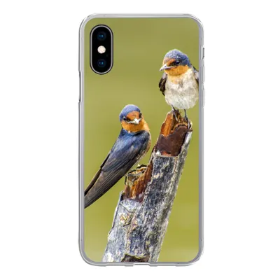 Produktbild von MuchoWow® Handyhülle Schutzhülle Hülle für iPhone X Vögel - Zweig - Porträt Silikon Softcase Handy Hülle - Handyhülle