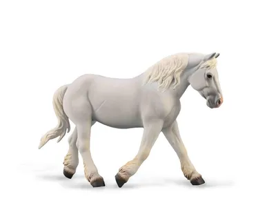 Zdjęcie produktu dla COLLECTA Boulonnais Mare - 1:20