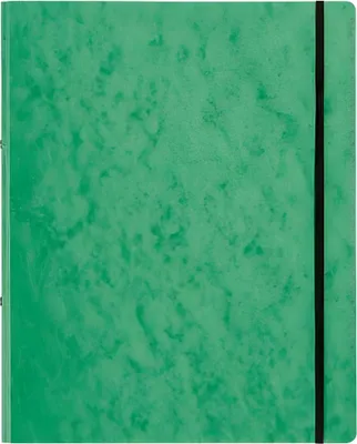 Produktbild von Pagna Ringbuch A4 16mm Pressspan Gummizug 2-Ring-Mechanik grün