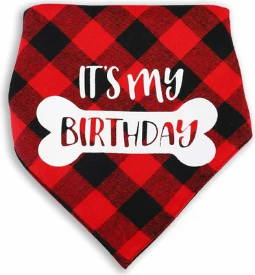 Immagine prodotto di Bandana per cani di taglia grande Monkimau - bandana compleanno cane rosso
