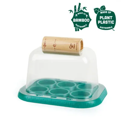 Image de Bambou - la serre des petits jardiniers