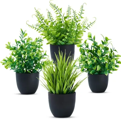 Immagine prodotto di 4 piante artificiali piccole, fornite in vasi