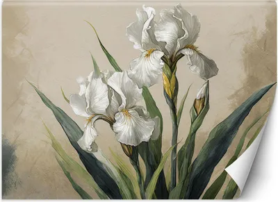 Produktbild von Vlies fototapete Weiße Blumen 400x280 cm Feeby Beige inkl. Kleber einfache Montage