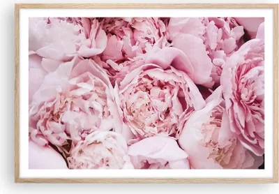 Produktbild von Gerahmtes Poster - Rahmen in heller Eiche - Blumenstrauß Blumen Rosa - 91,5x61 cm - Wand Bild - Wanddeko - Wandbilder - Kunstposter - Wandposter - Bilderrahmen - Bilder - Kunstdruck - P2NAA91x61-5001