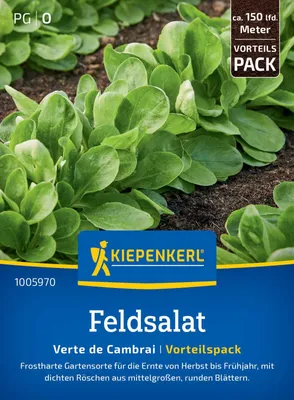 Produktbild von Kiepenkerl Feldsalatsamen Verte de Cambrai, Vorteilspackung
