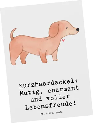 Produktbild von Mr. & Mrs. Panda Postkarte Mutiger Dackel - Weiß - Geschenk, Hunderassen, Ansichtskarte, Beschreibung, Ansichtskarten, Kurzhaardackel, Postkarten, Hunderasse, Grußkarte