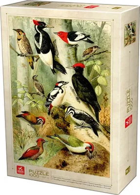 Produktbild von DEICO Puzzle Enzyklopädie Vögel 1000 Teile
