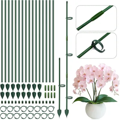 Imagen del producto de Soportes para plantas, 16 unidades, con altura ajustable, para ayudar al crecimiento de plantas trepadoras de interior