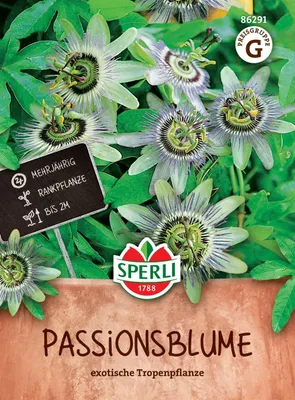 Produktbild von SPERLI Passionsblumensamen Passiflora caerulea 30 Pflanzen