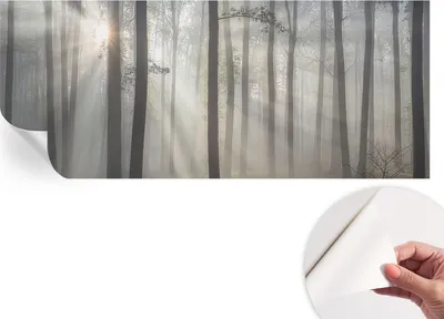 Produktbild von Selbstklebende Wandtapete - Dekorative Tapete für Wohnzimmer - Klebefolie für Wandbilder - Tapetenfolie für Wanddekoration - 208x146 cm - Ätherischer Wald
