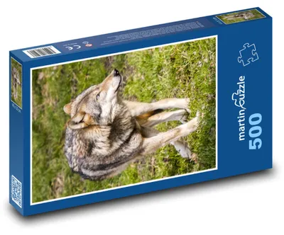 Obrázok produktu pre Puzzle 500 Vlk v zimnej krajine - martinpuzzle