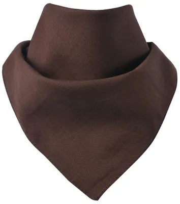 Produktbild von Bandana Uni Braun