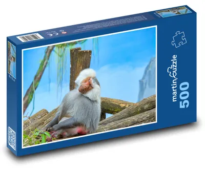 Obrázek produktu pro martinpuzzle - Puzzle 500 - Pavián - šedá opice